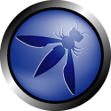 OWASP